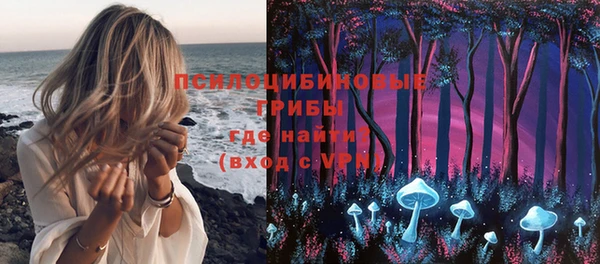 ECSTASY Алексеевка