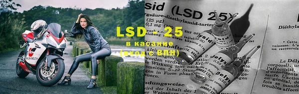 ECSTASY Алзамай