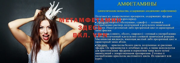 ECSTASY Алзамай