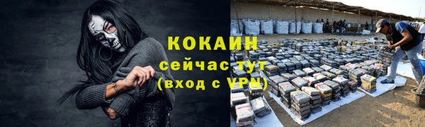 ECSTASY Алзамай