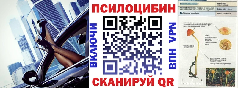 omg ССЫЛКА  Плавск  Галлюциногенные грибы Magic Shrooms  купить наркотики цена 